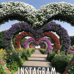 Heart topiaries in Dubai Miracle Garden. Text overlay says best places to Instagram in Dubai