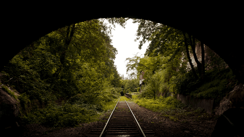 Grass and trees growing along the abandoned railway in Paris