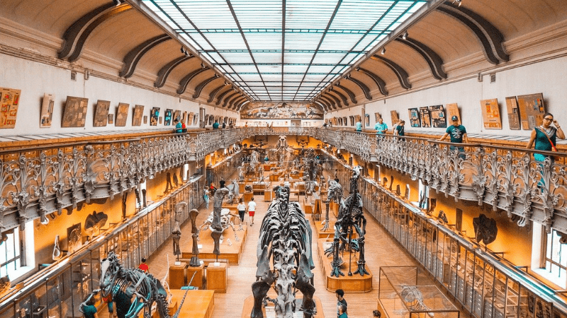 People walking thru the Gallery of Paleontology in Paris