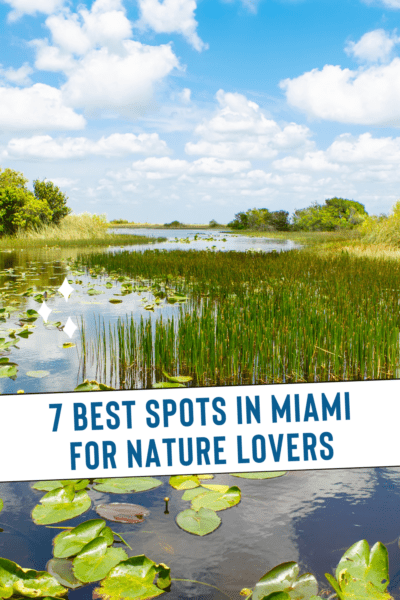 Florida vegetation around a lake. Text overlay says "7 best spots in miami for nature lovers"