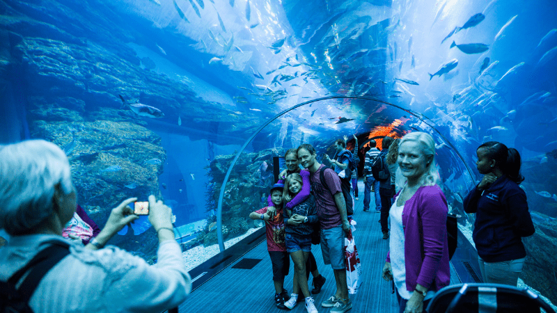 people in a tunnel at the Abu Dhabi Aquarium