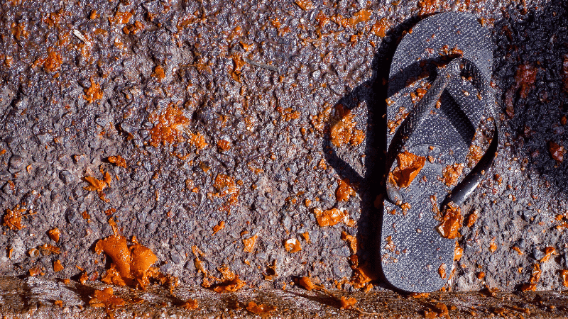 Smashed tomatoes and a sandal on pavement. Taken during La Tomatina festival in Spain