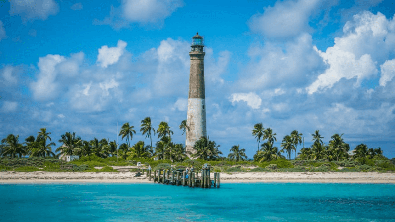 Lighthouse surrounded by palm trees. Beach and water in foreground. 
