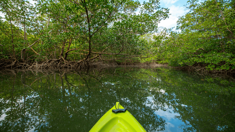 Kayak on the water in a Florida park