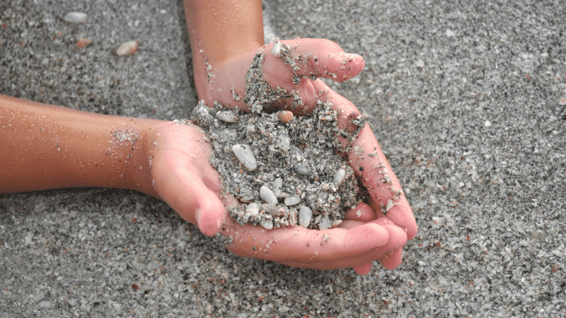hands holding shells on a beach