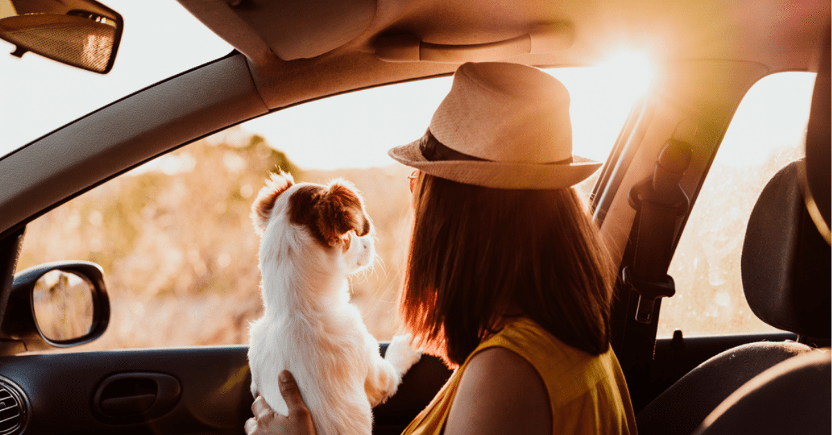 woman and dog looking out of a car window