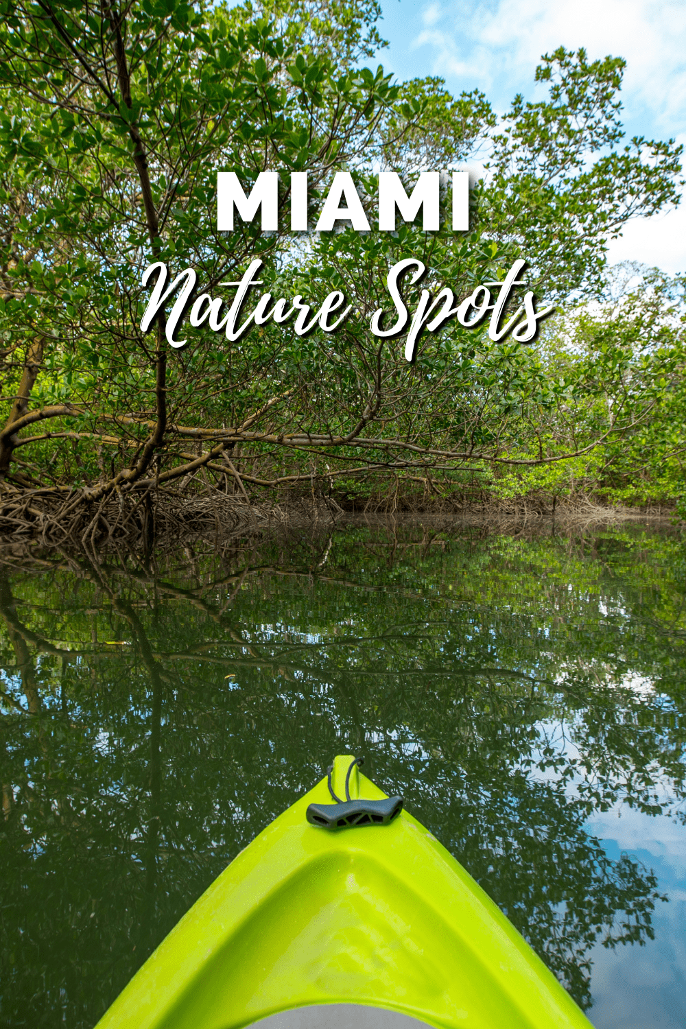 Miami for Nature Lovers 7 Top Spots to Visit