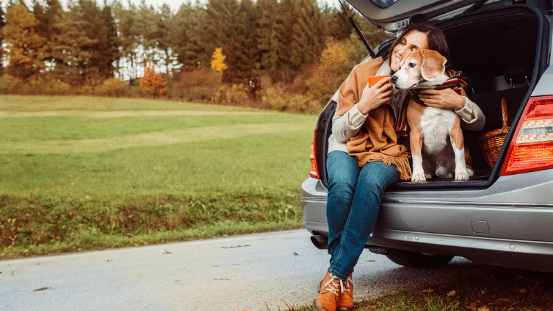 road trip with a dog