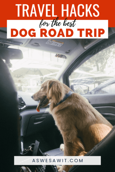 Dog looking out a car window. Text overlay says "travel hacks for the best dog road trip"