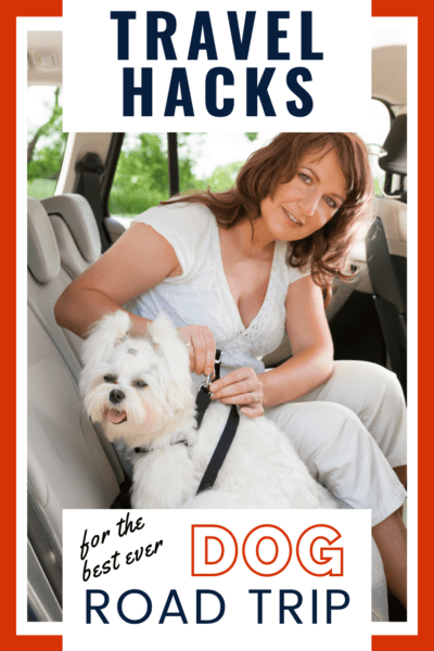 Woman in a car holding a dog. Text overlay says "trael hacks for the best ever dog road trip: