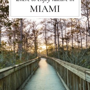boardwalk in a florida state park. Text overlay says "where to enjoy nature in miami"