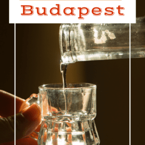 hand holding shot glass while palinka is being poured in. Text overlay says "5 things to buy in budapest"