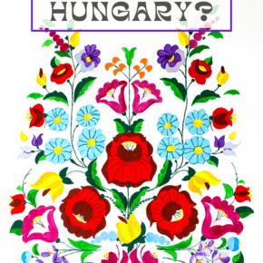 Hungarian embroidery design. Text overlay says "what should I buy in Hungary"