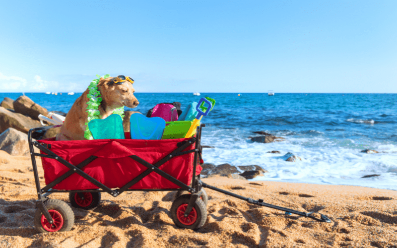 beach cart full of everything on this beach packing list