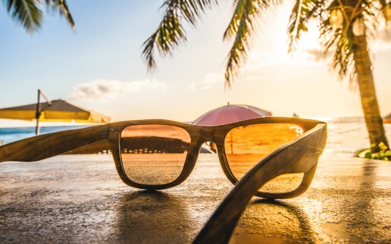 sunglasses with beach and palm tree in background