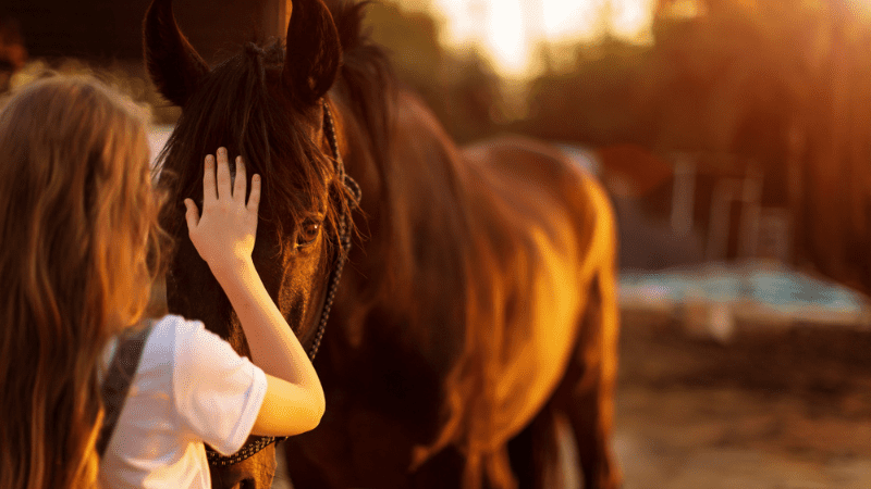 brown-haired girl stroking the nose of a pony
