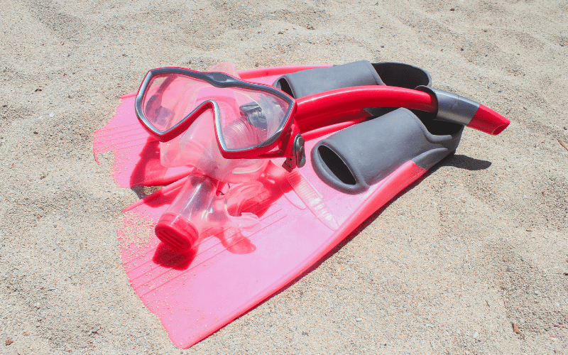 mask fins and snorkel on the sand