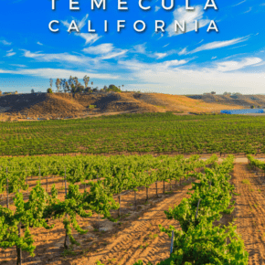 Vineyard in Temecula Valley. Text overlay says "things to do in Temecula California"