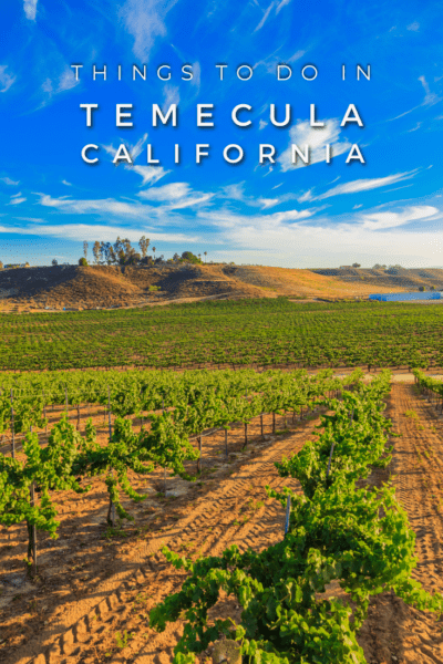 Vineyard in Temecula Valley. Text overlay says "things to do in Temecula California"