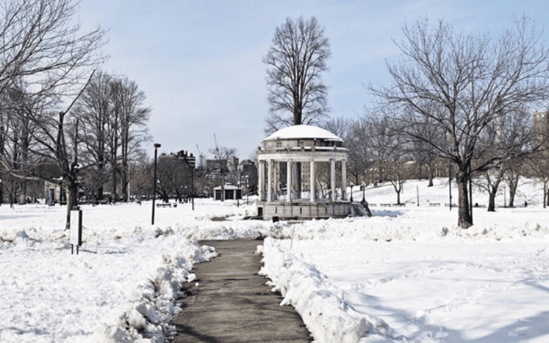 Folly in Boston public garden