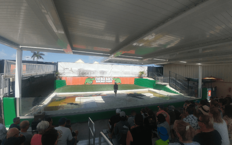 Alligator show