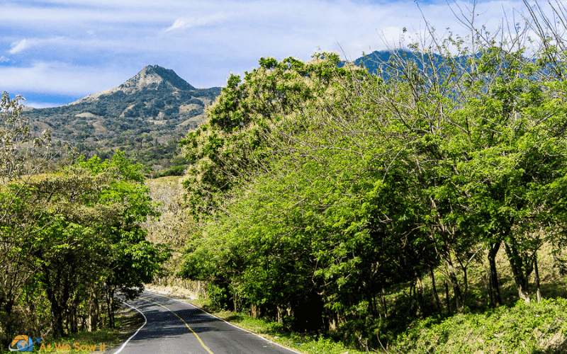 rural road in Panama