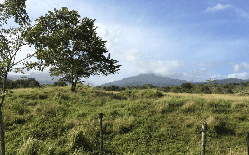 Vista of mountains in Panama. Tree in foreground