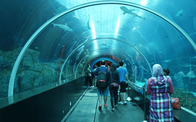 People in the Singapore SEA Aquarium walk-thru tunne.