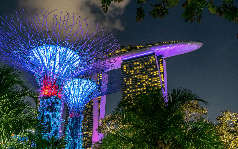 Gardens by the Bay Supertrees with Marina Bay Sands hotel in the background, lit up after dark.