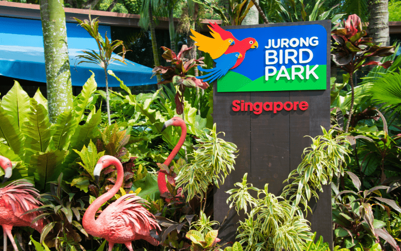 Ssign for Singapore Jurong Bird Park