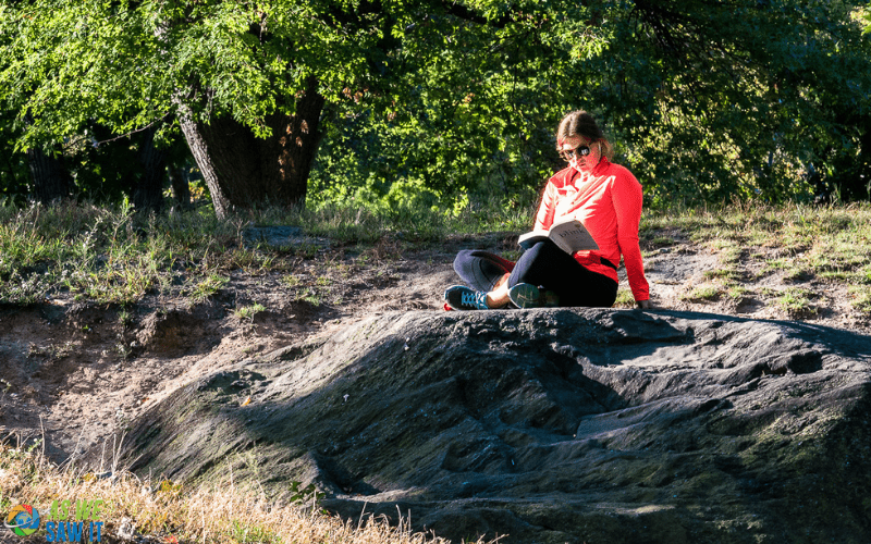 person reading a book