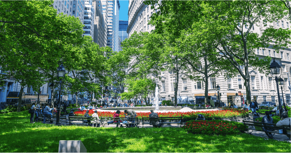 People in a park in the middle of New York City in summer time