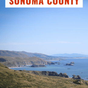 Beach in Sonoma County, California. The text overlay says "best beaches in Sonoma County"