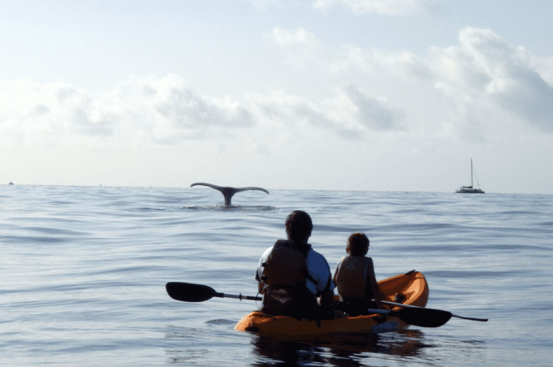 two people in a kayak