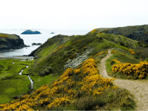 Pembrokeshire Coast Path Wales