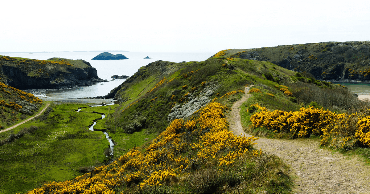 Pembrokeshire Coast Path Wales