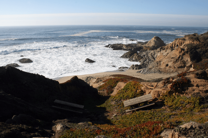 Bodega Head Beach, one of the best Sonoma County Beaches in California.