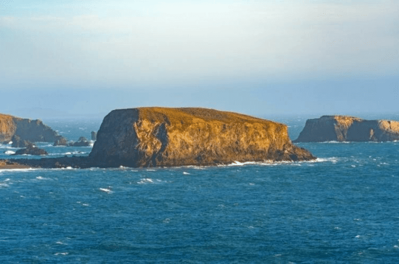 Goat Rock in the ocean,  one of the best beaches in Sonoma County