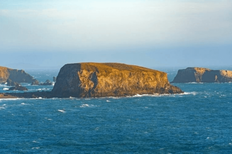 Goat Rock in the ocean, one of the best beaches in Sonoma County