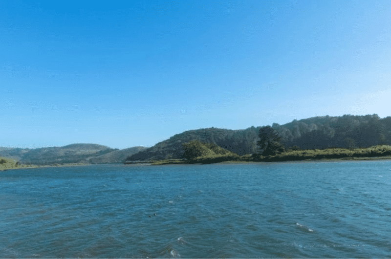 Jenner Beach,  one of the best Sonoma County beaches