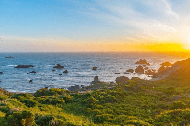 Portuguese Beach, one of the best beaches in Sonoma County