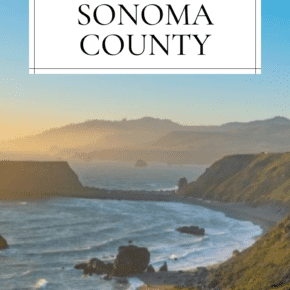 Beach in Sonoma County, California. The text overlay says "the best beaches to visit in Sonoma County"