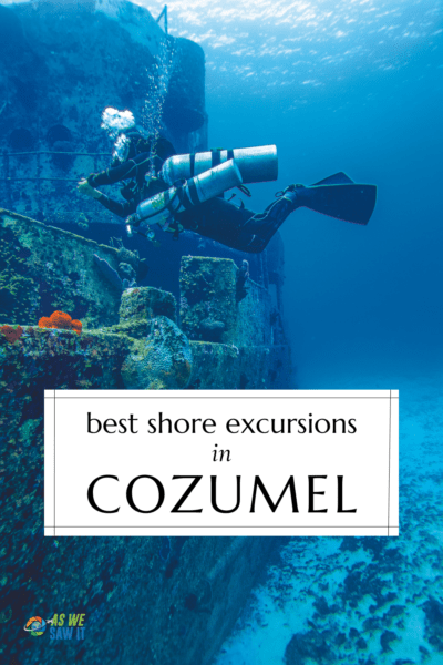 Scuba diver on Palancar Reef. The text overlay says "best shore excursions in Cozumel Mexico"
