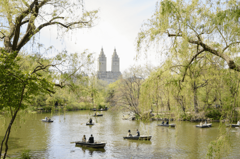 One of the best things to do in NYC in summer is to go boating in Central Park. JW Marriott Essex House Hotel is above the trees in the background