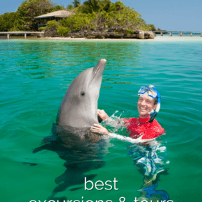 person swimming with a dolphin. Text overlay says "Cozumel best excursions and tours"