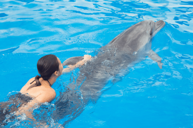 girl swimming with a dolphin at Chankanaab National Park