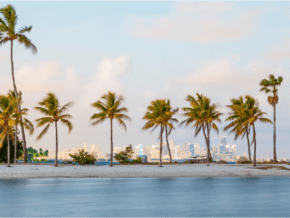 Palm trees line the water with warm winter destination in the background