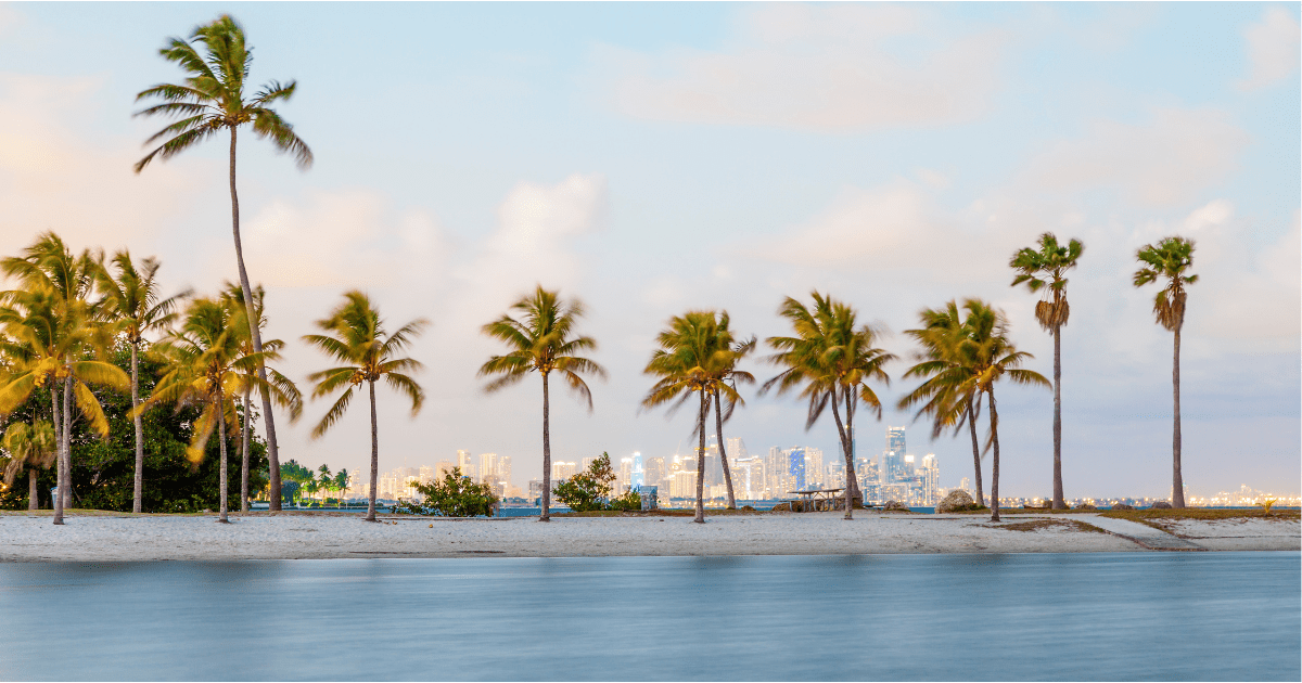 Palm trees line the water with warm winter destination in the background