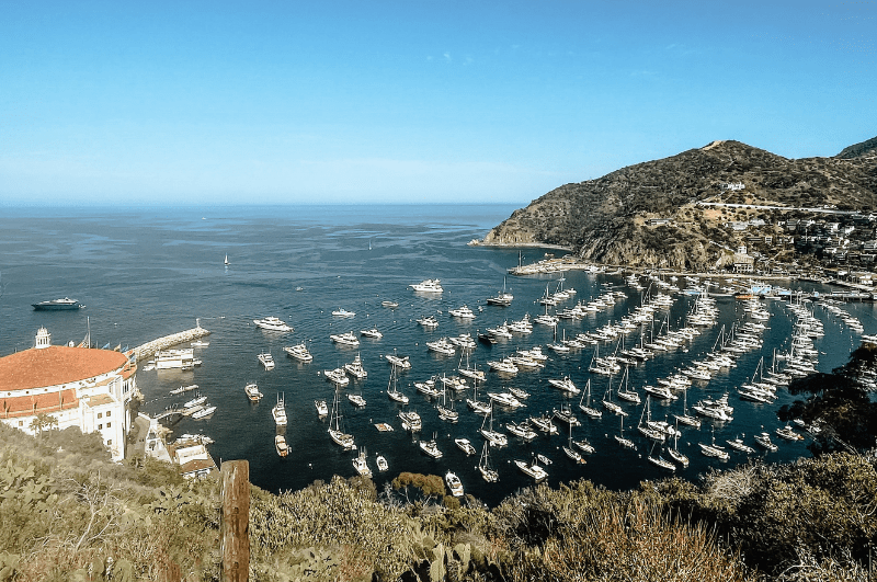 Boats in a Catalina Island marina