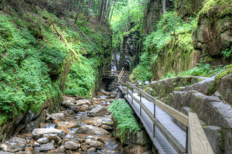 A walking trail in Flume Gorge.